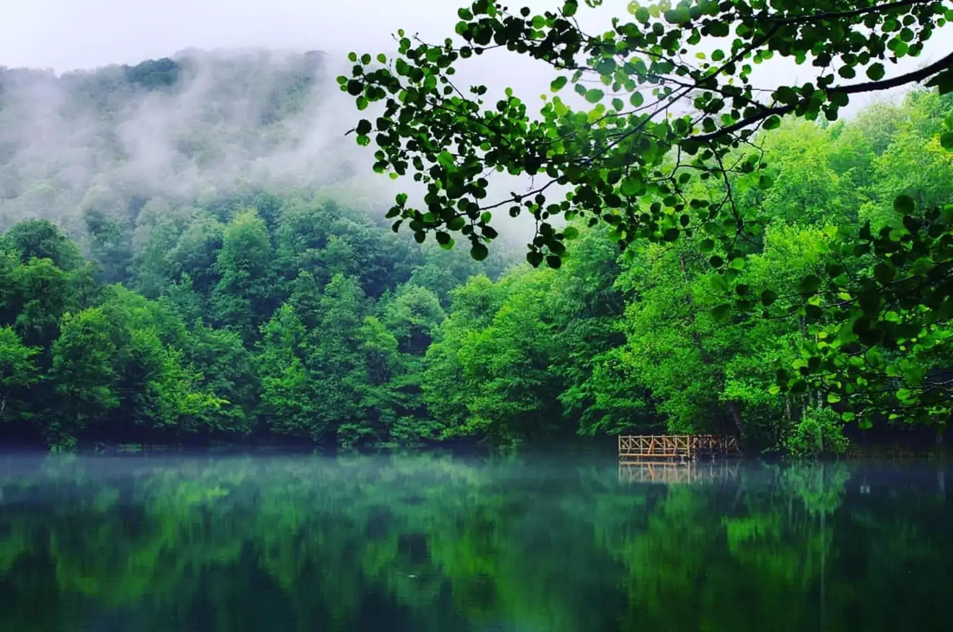 Habitat Mesire Bungalov Evleri Yedigöller