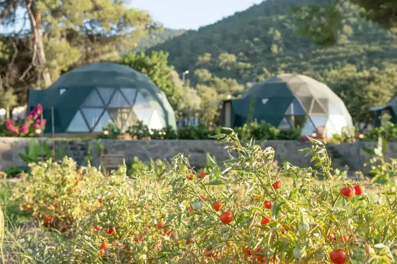 Lusso Glamping Bodrum